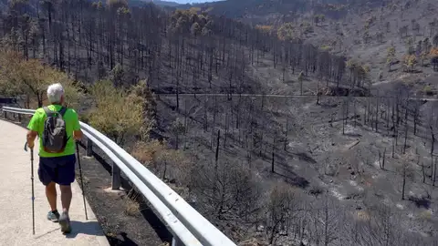 Incendio en España Incendio en España