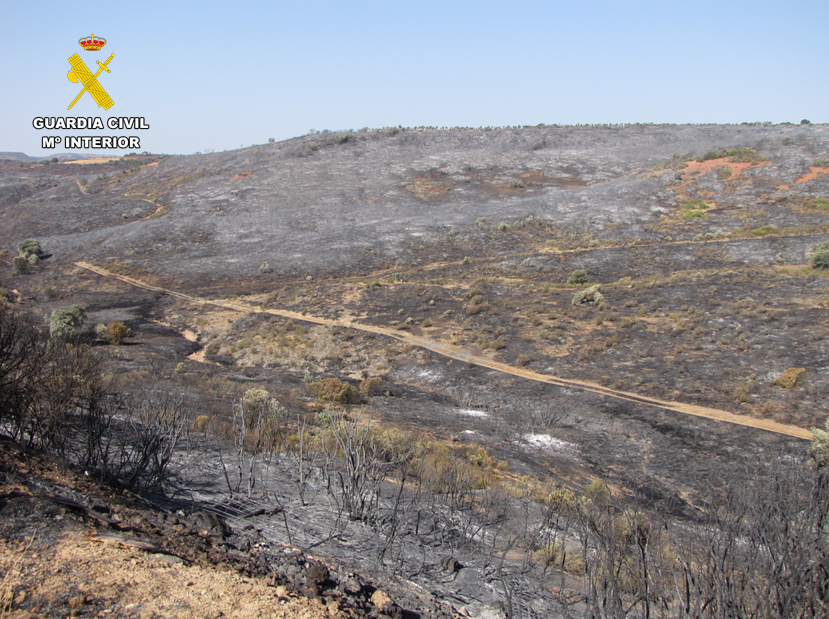 Investigan a dos personas por el incendio de Cabezarrubias del Puerto el pasado 5 de julio Investigan a dos personas por el incendio de Cabezarrubias del Puerto el pasado 5 de julio