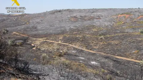 Incendio en Cabezarrubias del Puerto Incendio en Cabezarrubias del Puerto