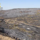Incendio en Cabezarrubias del Puerto Incendio en Cabezarrubias del Puerto