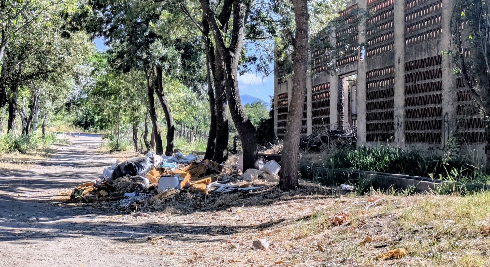 Denuncian la acumulación de residuos en el camino del parque de los Caños Denuncian la acumulación de residuos en el camino del parque de los Caños