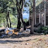 El PSOE denuncia la acumulación de residuos en el camino del parque de los Caños y reclama más vigilancia