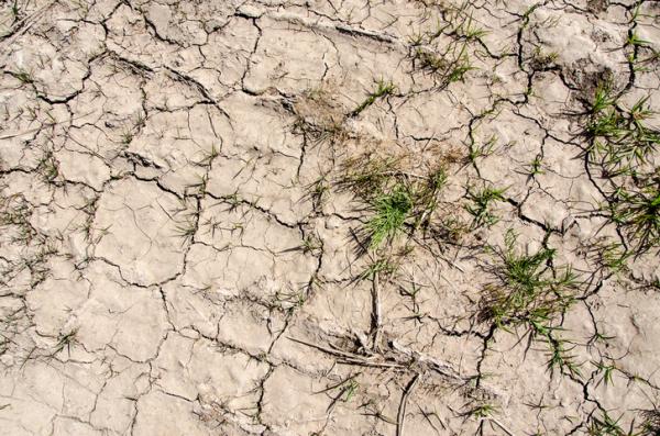 El riesgo de desertización aumenta cada año en Aragón El riesgo de desertización aumenta cada año en Aragón