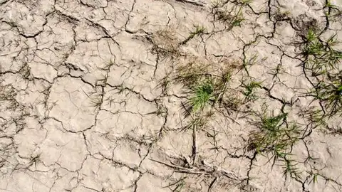 El cambio climático y la acción del hombre aumentan la desertización El cambio climático y la acción del hombre aumentan la desertización