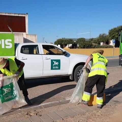 Retiran más de125 toneladas de residuos en los principales caminos del Rocío en la provincia