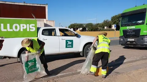 Retiran más de125 toneladas de residuos en los principales caminos del Rocío en la provincia Retiran más de125 toneladas de residuos en los principales caminos del Rocío en la provincia