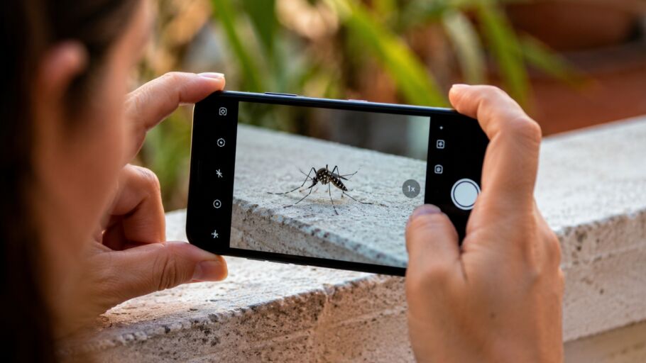 El web i l'app Mosquito Alert permeten la ciutadania fer fotografies d'aquells mosquits que detecta dins o fora de casa