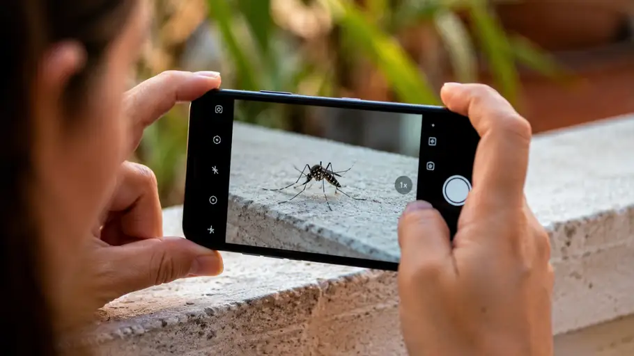 El web i l'app Mosquito Alert permeten la ciutadania fer fotografies d'aquells mosquits que detecta dins o fora de casa El web i l'app Mosquito Alert permeten la ciutadania fer fotografies d'aquells mosquits que detecta dins o fora de casa