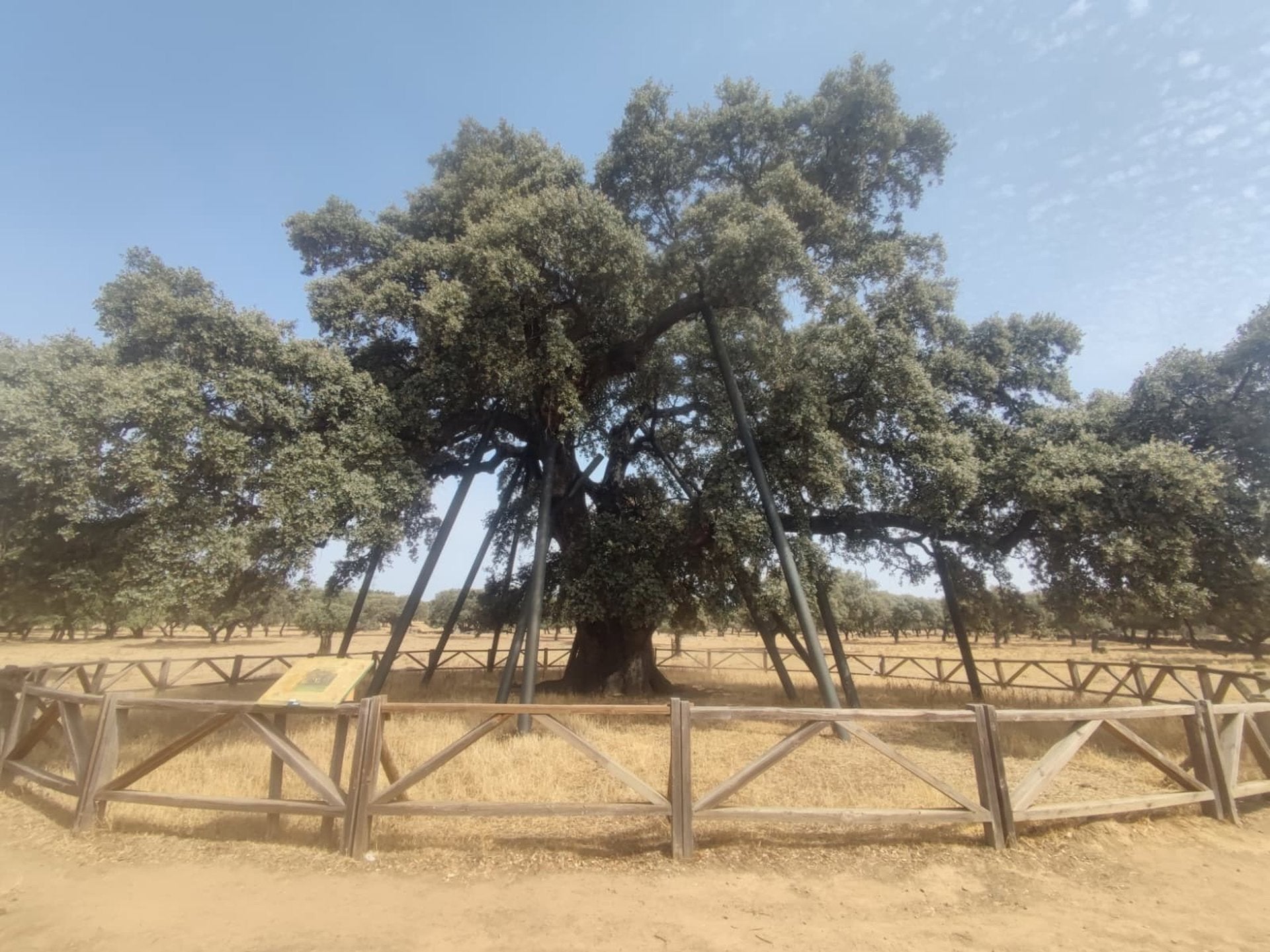 Adenex lleva a seis municipios extremeños un proyecto que promueve la conservación de su patrimonio natural Adenex lleva a seis municipios extremeños un proyecto que promueve la conservación de su patrimonio natural