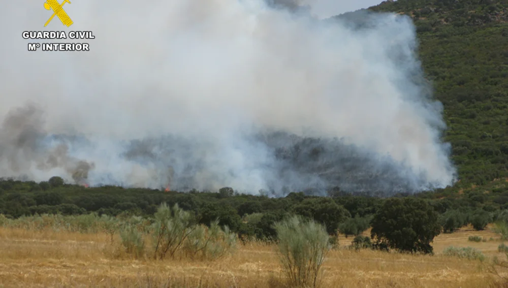 Incendio en Cabezarrubias del Puerto Incendio en Cabezarrubias del Puerto