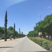 Avenida del Vino de Valdepeñas