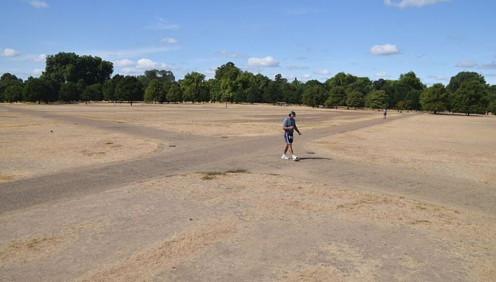 La sequía transforma Hyde Park (Londres) en un desierto