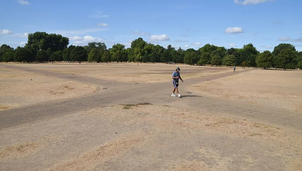 La sequía transforma Hyde Park (Londres) en un desierto La sequía transforma Hyde Park (Londres) en un desierto