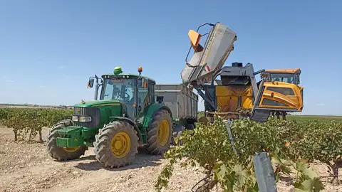 Vendimia en Ciudad Real Vendimia en Ciudad Real