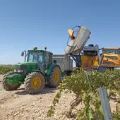 Vendimia en Ciudad Real Vendimia en Ciudad Real