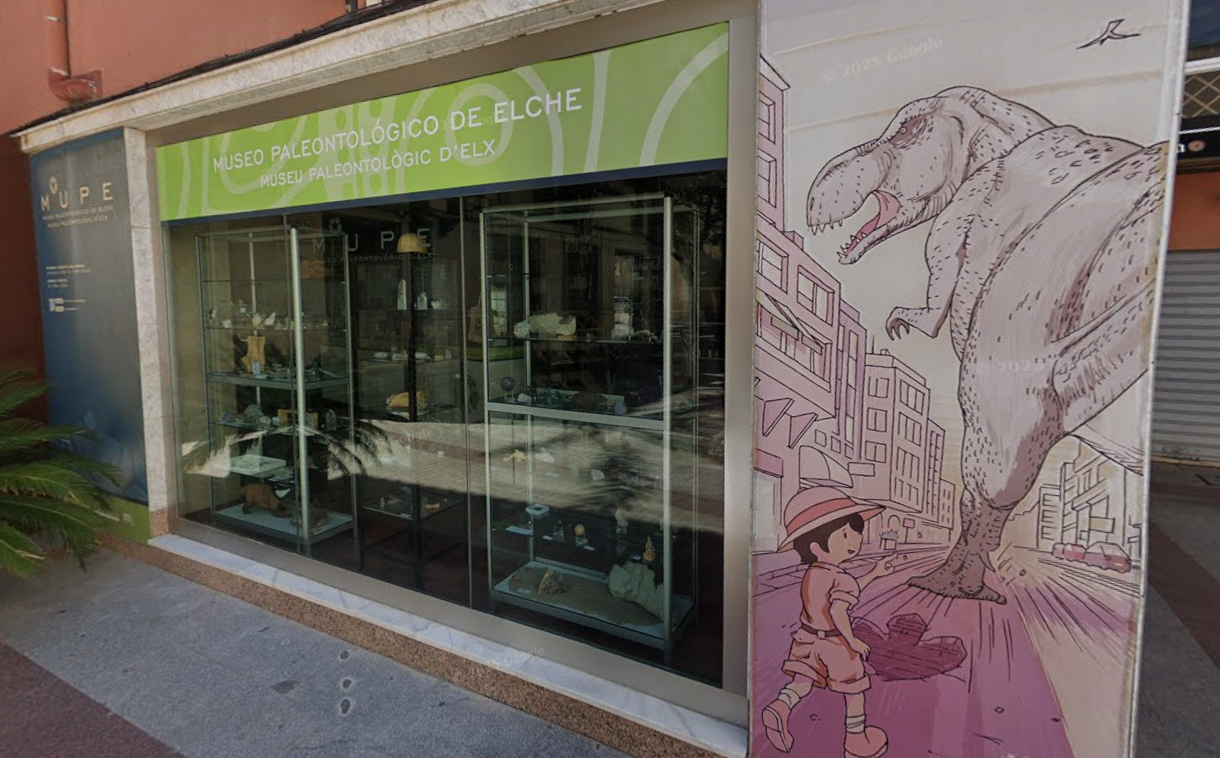 El Museo Paleontológico de Elche acoge la exposición fotográfica 'Capturando el pasado' El Museo Paleontológico de Elche acoge la exposición fotográfica 'Capturando el pasado'