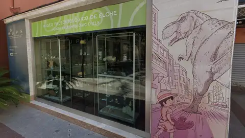 Museo Paleontológico de Elche (MUPE). Museo Paleontológico de Elche (MUPE).