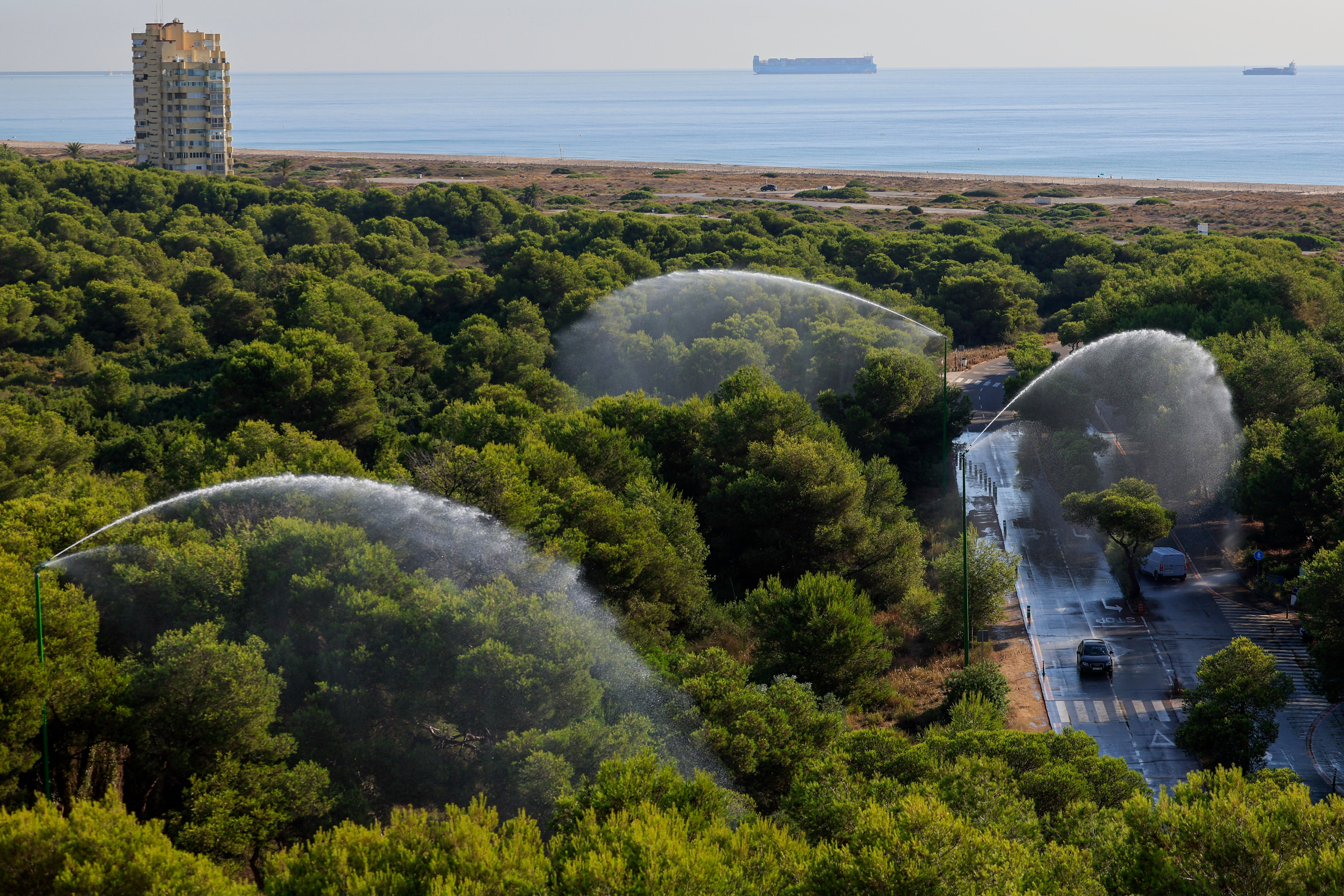 València activa los cañones de agua de El Saler y corta los accesos al parque natural València activa los cañones de agua de El Saler y corta los accesos al parque natural