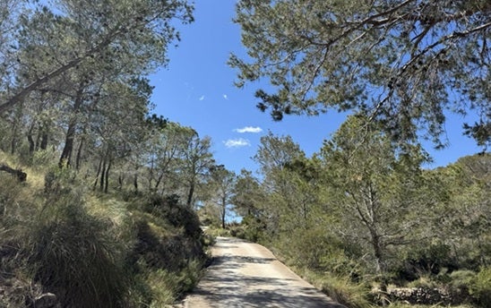 Villajoyosa ejecutará medidas para la prevención de incendios en dos zonas forestales con una inversión de más de 35.000 euros Villajoyosa ejecutará medidas para la prevención de incendios en dos zonas forestales con una inversión de más de 35.000 euros