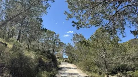 Villajoyosa ejecutará medidas para la prevención de incendios en dos zonas forestales con una inversión de más de 35.000 euros Villajoyosa ejecutará medidas para la prevención de incendios en dos zonas forestales con una inversión de más de 35.000 euros