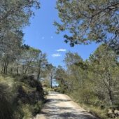 Villajoyosa ejecutará medidas para la prevención de incendios en dos zonas forestales con una inversión de más de 35.000 euros