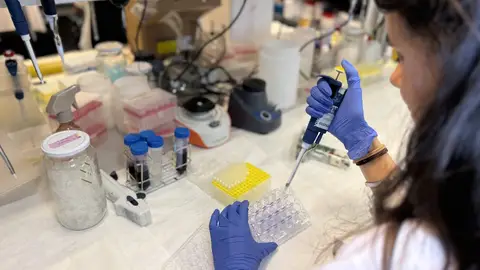 Investigadores del Hospital La Paz identifican una proteína que explica la elevada agresividad del melanoma. Investigadores del Hospital La Paz identifican una proteína que explica la elevada agresividad del melanoma.