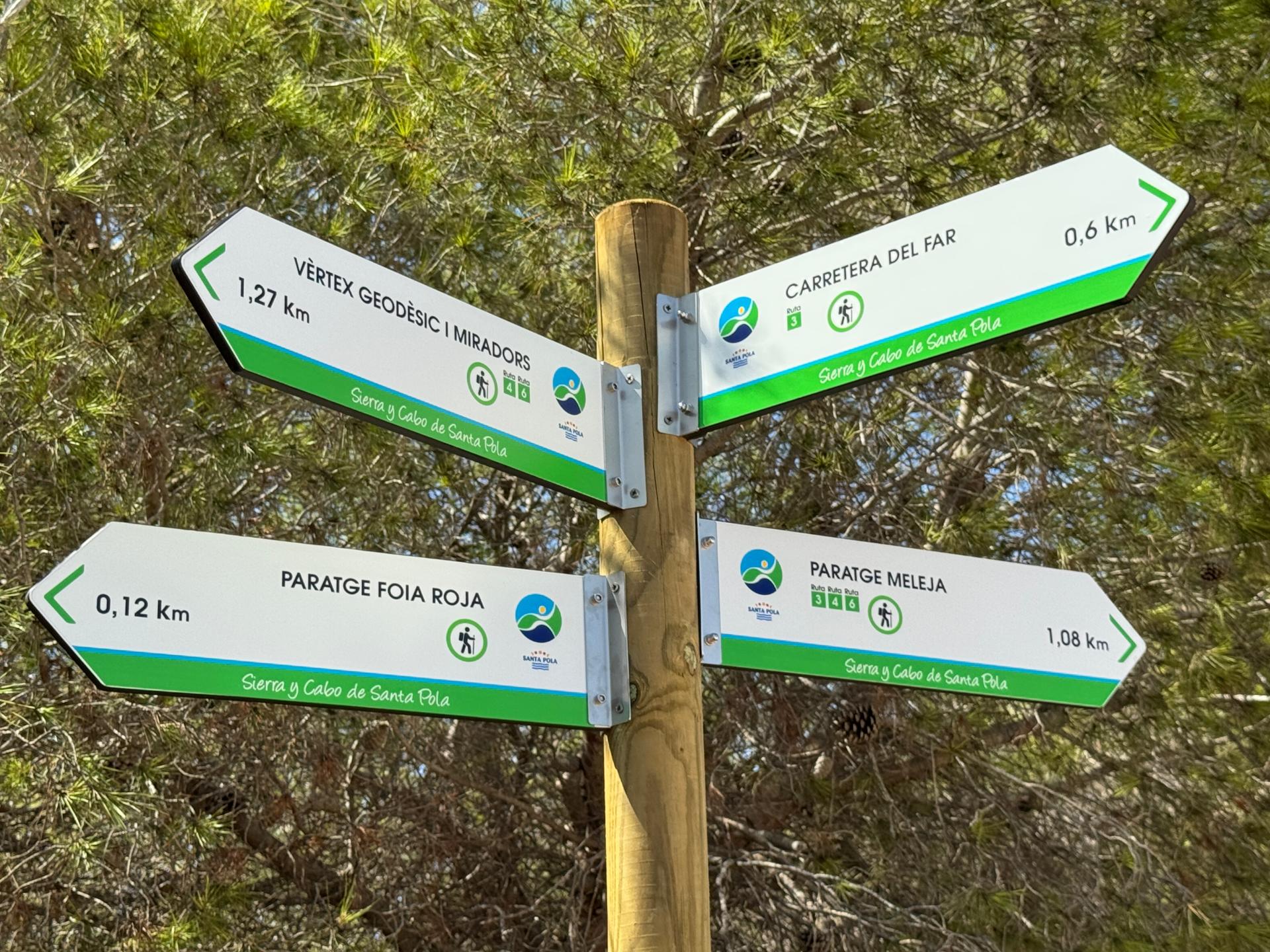 Santa Pola recibe 60.000 euros en materia de mejoras en masa forestal Santa Pola recibe 60.000 euros en materia de mejoras en masa forestal