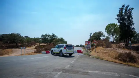 Aznalcóllar descarta desalojos por el incendio de Niebla pero avisa de humo y lluvia de ceniza Aznalcóllar descarta desalojos por el incendio de Niebla pero avisa de humo y lluvia de ceniza