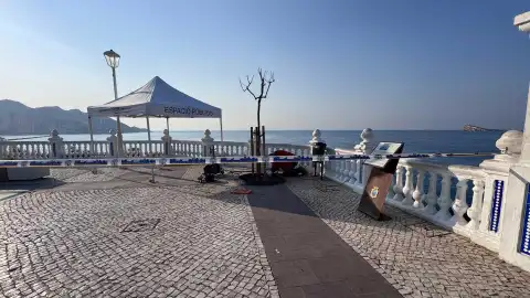 Los Servicios Técnicos de Benidorm realizan más de medio millar de intervenciones en la vía pública en lo que va de año Los Servicios Técnicos de Benidorm realizan más de medio millar de intervenciones en la vía pública en lo que va de año