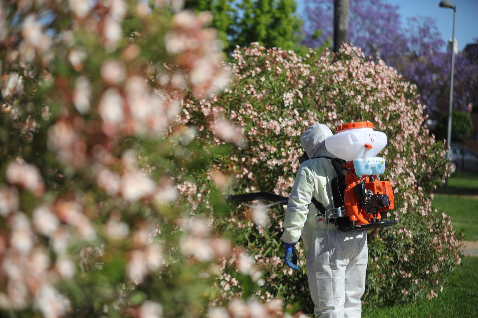 Andalucía eleva a 34 los casos de virus del Nilo tras detectar tres nuevos en la provincia, uno de ellos grave Andalucía eleva a 34 los casos de virus del Nilo tras detectar tres nuevos en la provincia, uno de ellos grave