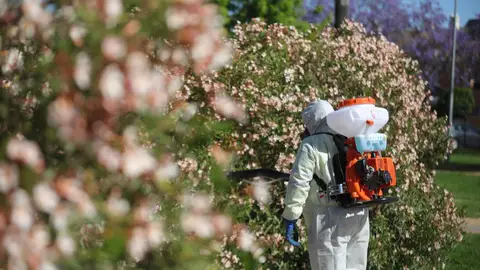 Andalucía eleva a 34 los casos de virus del Nilo tras detectar tres nuevos en la provincia, uno de ellos grave Andalucía eleva a 34 los casos de virus del Nilo tras detectar tres nuevos en la provincia, uno de ellos grave