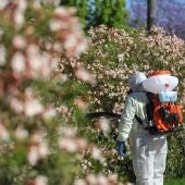 Andalucía eleva a 34 los casos de virus del Nilo tras detectar tres nuevos en la provincia, uno de ellos grave
