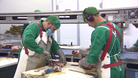 La empresa extremeña Lonchiber produce alrededor de 16 millones de bocadillos al año La empresa extremeña Lonchiber produce alrededor de 16 millones de bocadillos al año