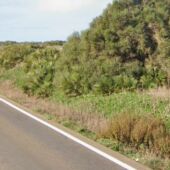Tramo de la carretera A2231