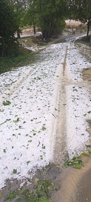 Un fuerte granizo daña el 80% de las cosechas de nogal en Nerpio Un fuerte granizo daña el 80% de las cosechas de nogal en Nerpio