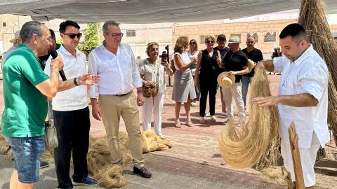 El cáñamo vuelve a demostrar que es un cultivo tradicional y de futuro para Callosa y la Vega Baja El cáñamo vuelve a demostrar que es un cultivo tradicional y de futuro para Callosa y la Vega Baja