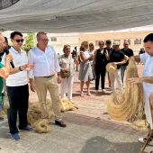 El cáñamo vuelve a demostrar que es un cultivo tradicional y de futuro para Callosa y la Vega Baja