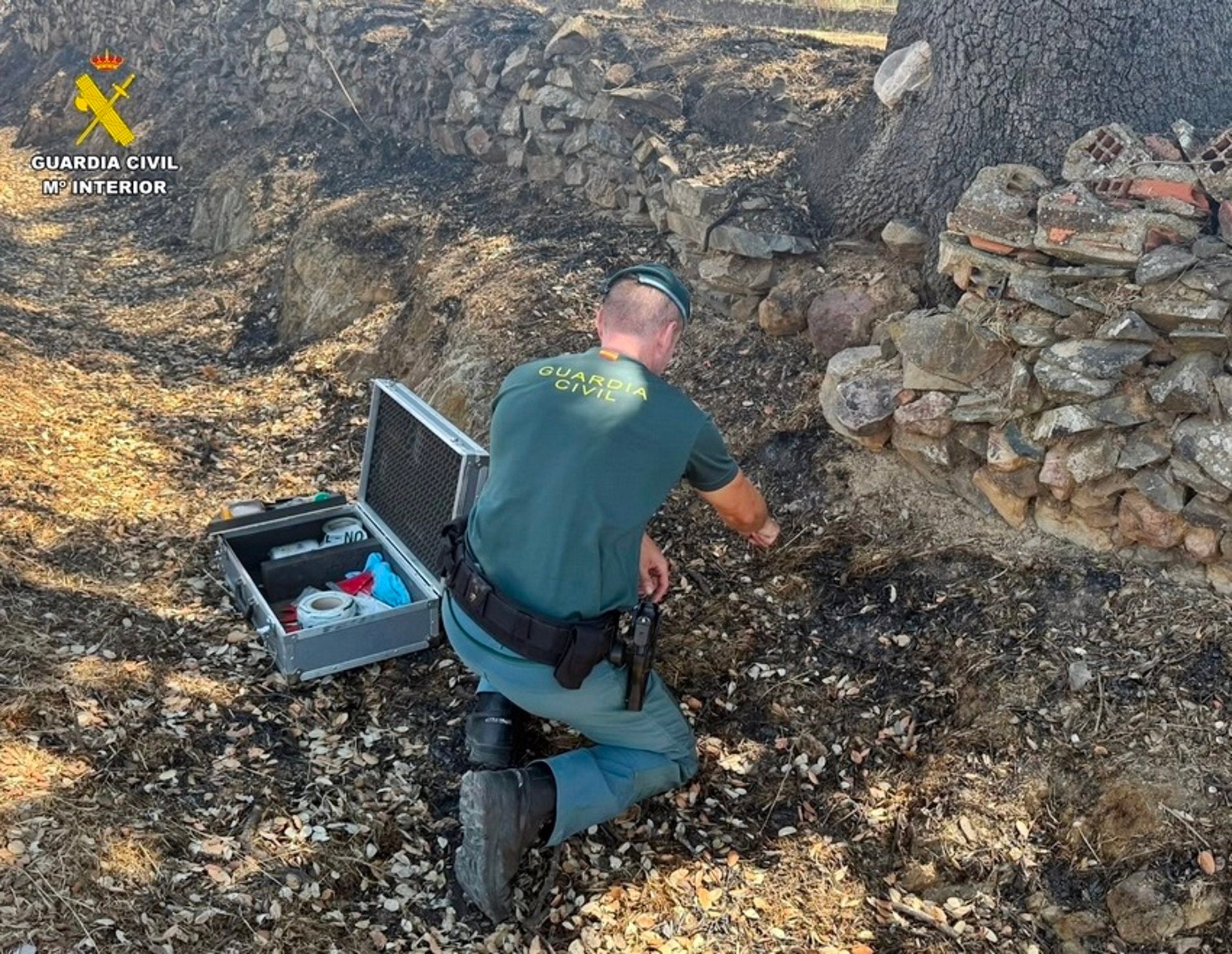Investigado el presunto autor del incendio forestal intencionado en un paraje de Herrera del Duque Investigado el presunto autor del incendio forestal intencionado en un paraje de Herrera del Duque