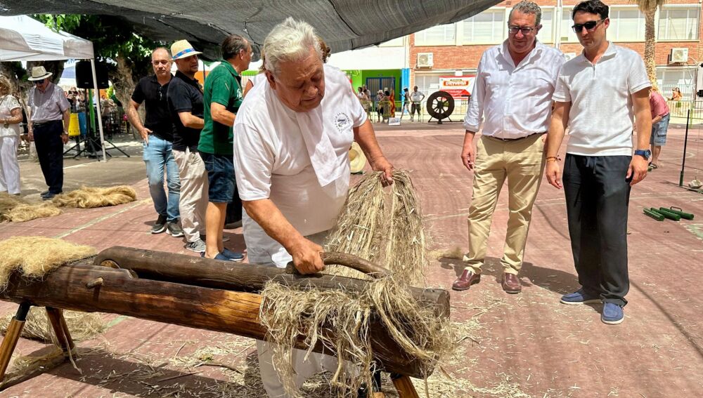 El cáñamo vuelve a demostrar que es un cultivo tradicional y de futuro para Callosa y la Vega Baja