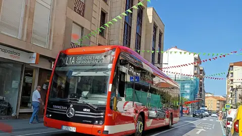 Torrebus Torrebus