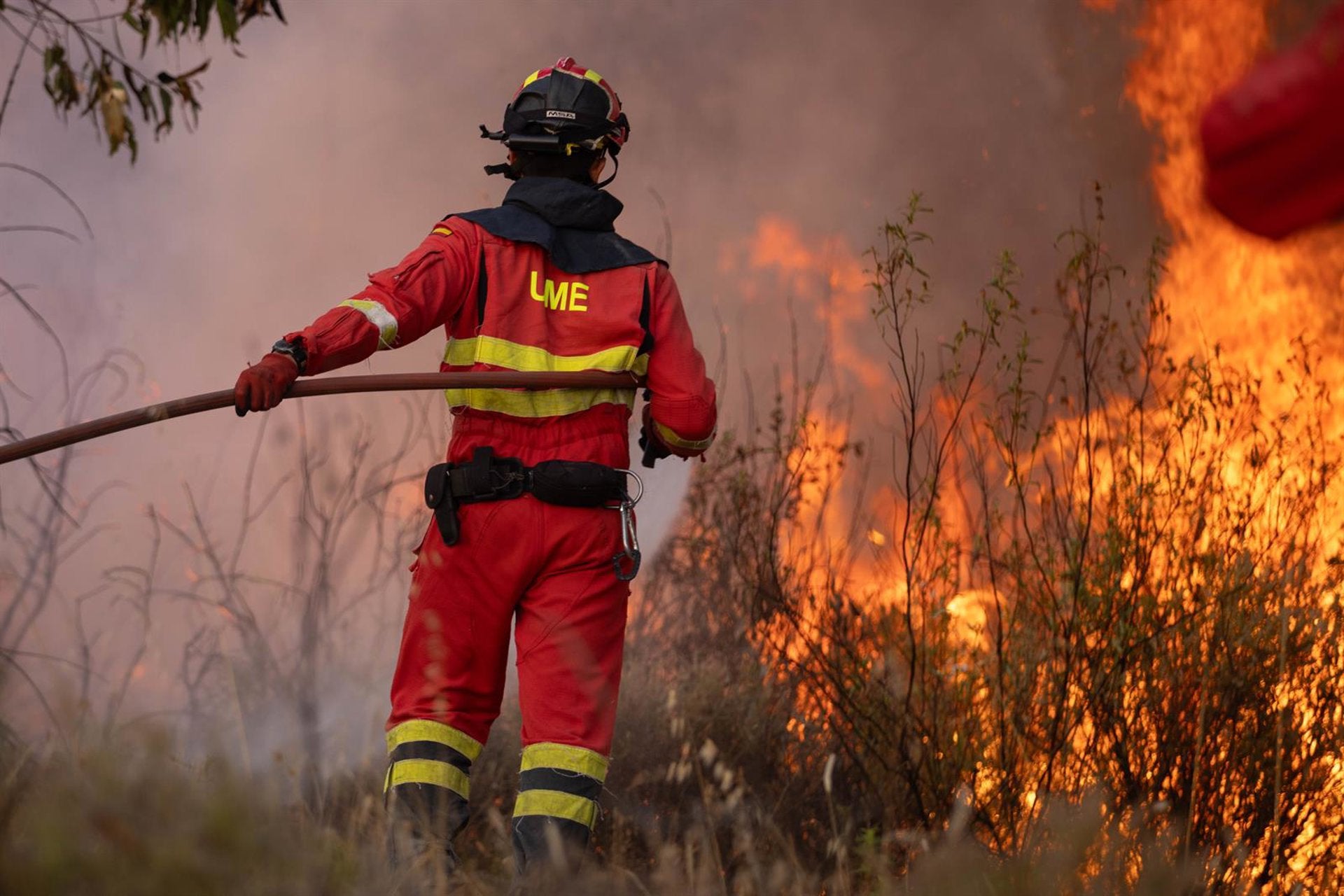 El incendio de Niebla "empeora" en la zona de Aznalcóllar y avanza hacia El Campillo y Madroñalejo El incendio de Niebla "empeora" en la zona de Aznalcóllar y avanza hacia El Campillo y Madroñalejo