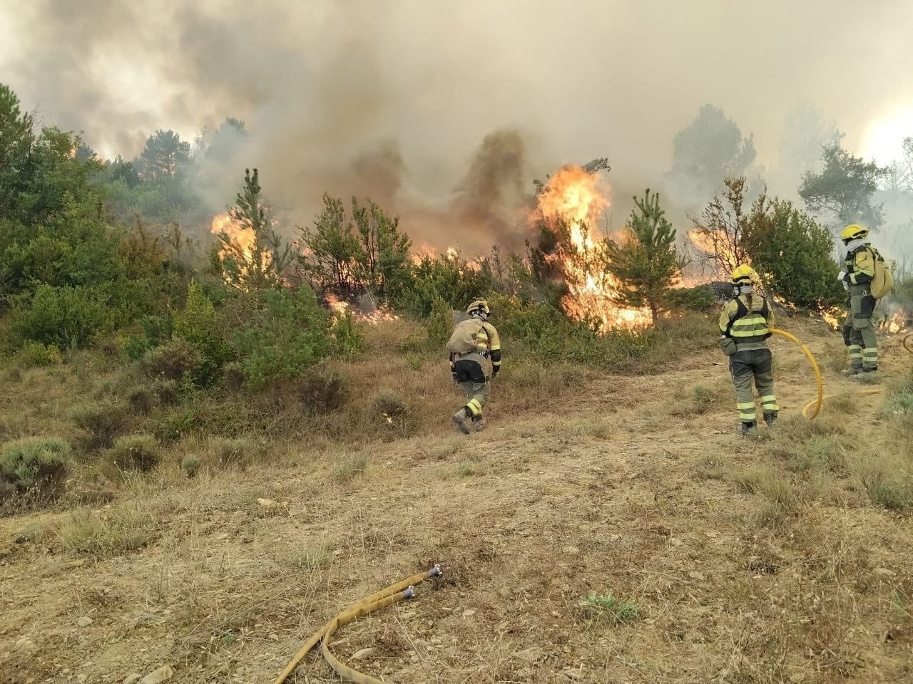 El PSOE exige ayudas directas y gestión para prevenir incendios en Aragón El PSOE exige ayudas directas y gestión para prevenir incendios en Aragón