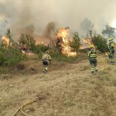Incendio forestal en Las Peñas de Riglos (Huesca).