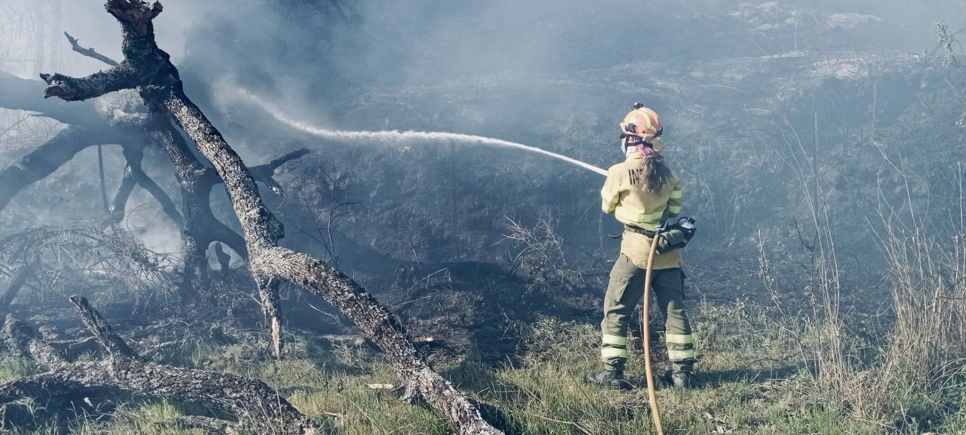 El Plan Infoex interviene en 30 incendios forestales durante la última semana, 16 en Badajoz y 14 en Cáceres El Plan Infoex interviene en 30 incendios forestales durante la última semana, 16 en Badajoz y 14 en Cáceres