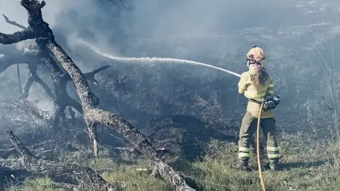 El Plan Infoex interviene en 30 incendios forestales durante la última semana, 16 en Badajoz y 14 en Cáceres El Plan Infoex interviene en 30 incendios forestales durante la última semana, 16 en Badajoz y 14 en Cáceres