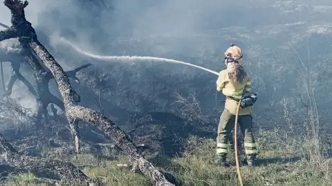 El Plan Infoex interviene en 30 incendios forestales durante la última semana, 16 en Badajoz y 14 en Cáceres El Plan Infoex interviene en 30 incendios forestales durante la última semana, 16 en Badajoz y 14 en Cáceres
