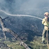 El Plan Infoex interviene en 30 incendios forestales durante la última semana, 16 en Badajoz y 14 en Cáceres El Plan Infoex interviene en 30 incendios forestales durante la última semana, 16 en Badajoz y 14 en Cáceres