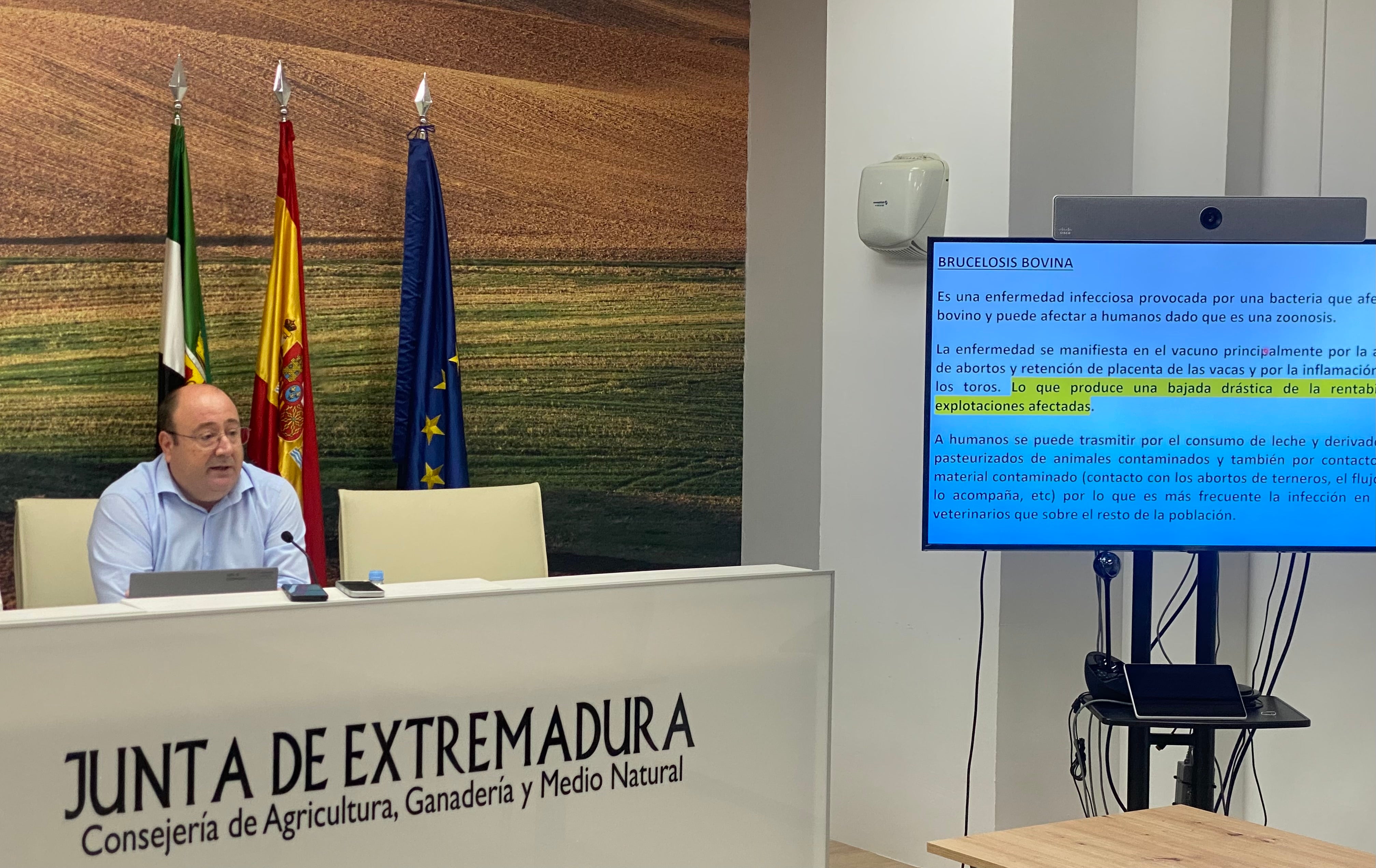 Agricultura controla los brotes de brucelosis y confirma un caso aislado de lengua azul que no genera alarma Agricultura controla los brotes de brucelosis y confirma un caso aislado de lengua azul que no genera alarma