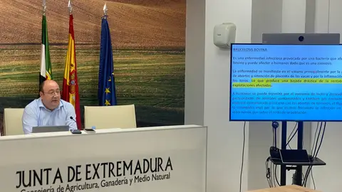 Agricultura controla los brotes de brucelosis y confirma un caso aislado de lengua azul que no genera alarma Agricultura controla los brotes de brucelosis y confirma un caso aislado de lengua azul que no genera alarma