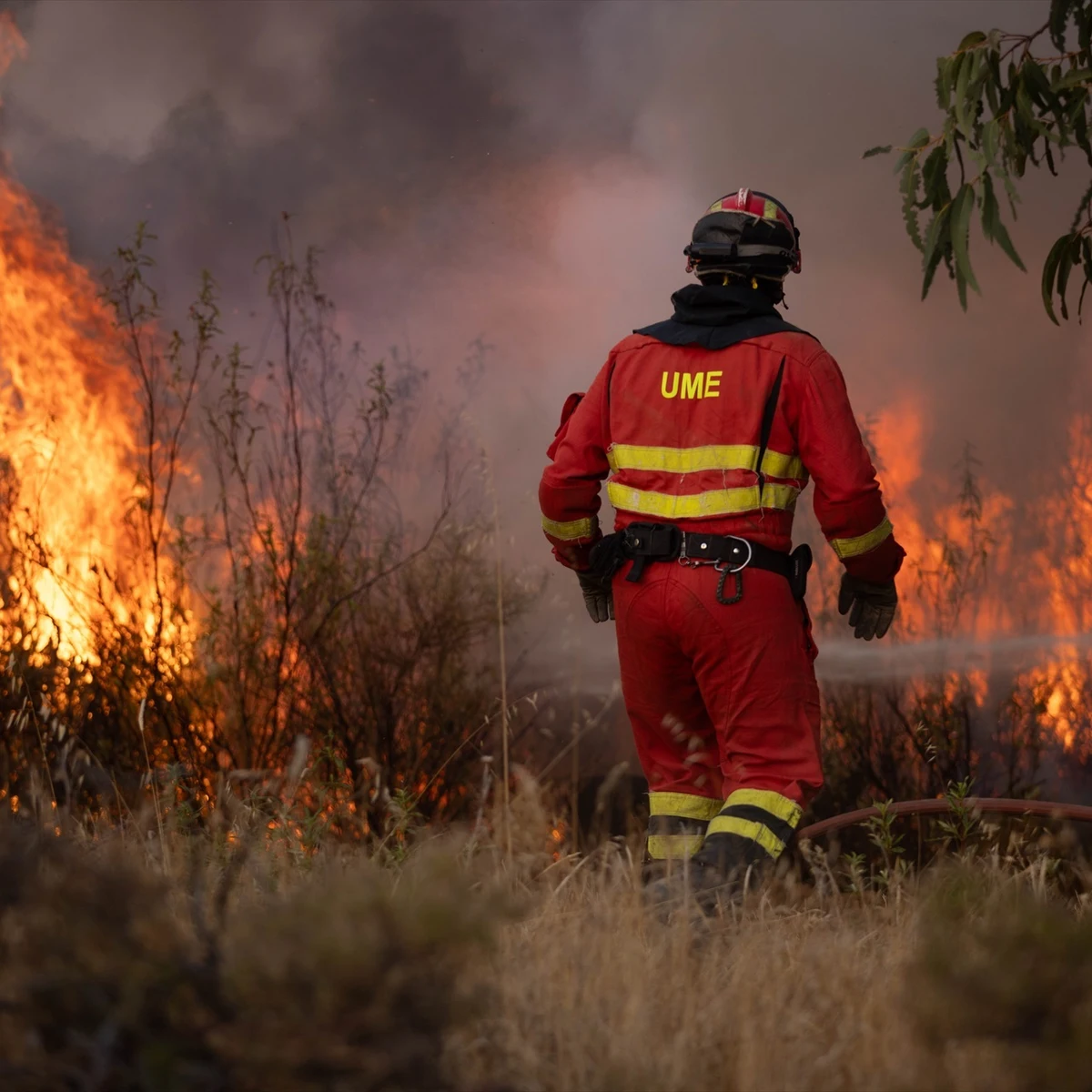Juan Romero, ecologista y afectado por los incendios de Huelva: "Si no nos echan una ayuda, estamos muertos por tercera vez consecutiva" episode artwork
